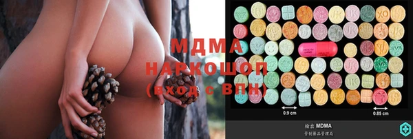 индика Белокуриха