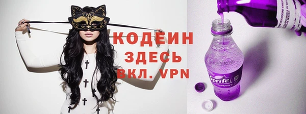индика Белокуриха