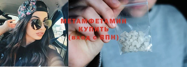 индика Белокуриха