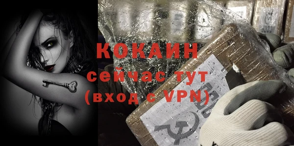 индика Белокуриха