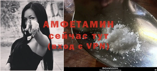 индика Белокуриха