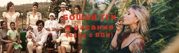 индика Белокуриха